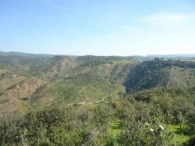 Vistas de Sierra Morena 2014