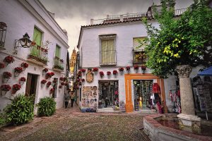 calleja-flores-erasmus-cordoba