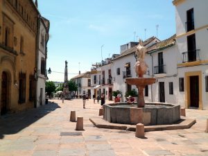 potro-erasmus-cordoba