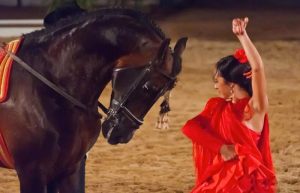 Caballerizas Reales Cordoba