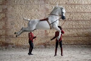 Caballerizas Reales Cordoba