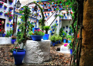 patios-erasmus-cordoba